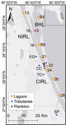 Extreme Runoff of Chemical Species of Nitrogen and Phosphorus Threatens a Florida Barrier Island Lagoon